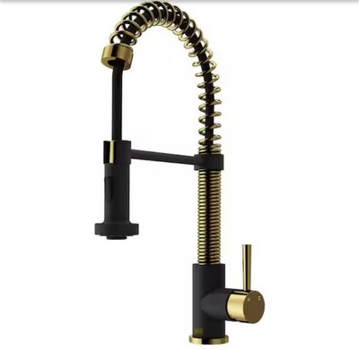 Vigo Edison Kitchen Faucet with Pull Down Sprayer Matte Gold/ Black VG02001MGMB