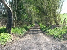 Photo 6x4 Twelve O'Clock Lane looking South Wilmington/ST6962  c2010