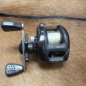 Quantum Energy Pt Baitcast Reel | eBay