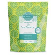 Just Breathe Eucalyptus  Lemon  Mint Scentsy Soak Bath Salt  NEW