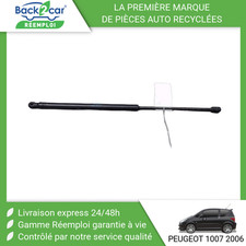 Verin de hayon / de capot Peugeot 1007