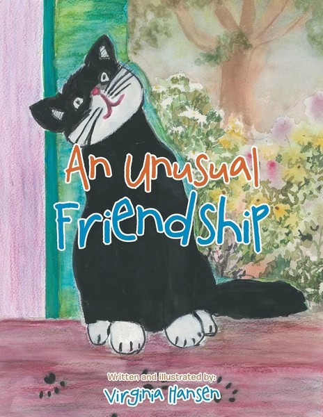 An Unusual Friendship Virginia Hansen Taschenbuch Kartoniert / Broschiert 2015-image