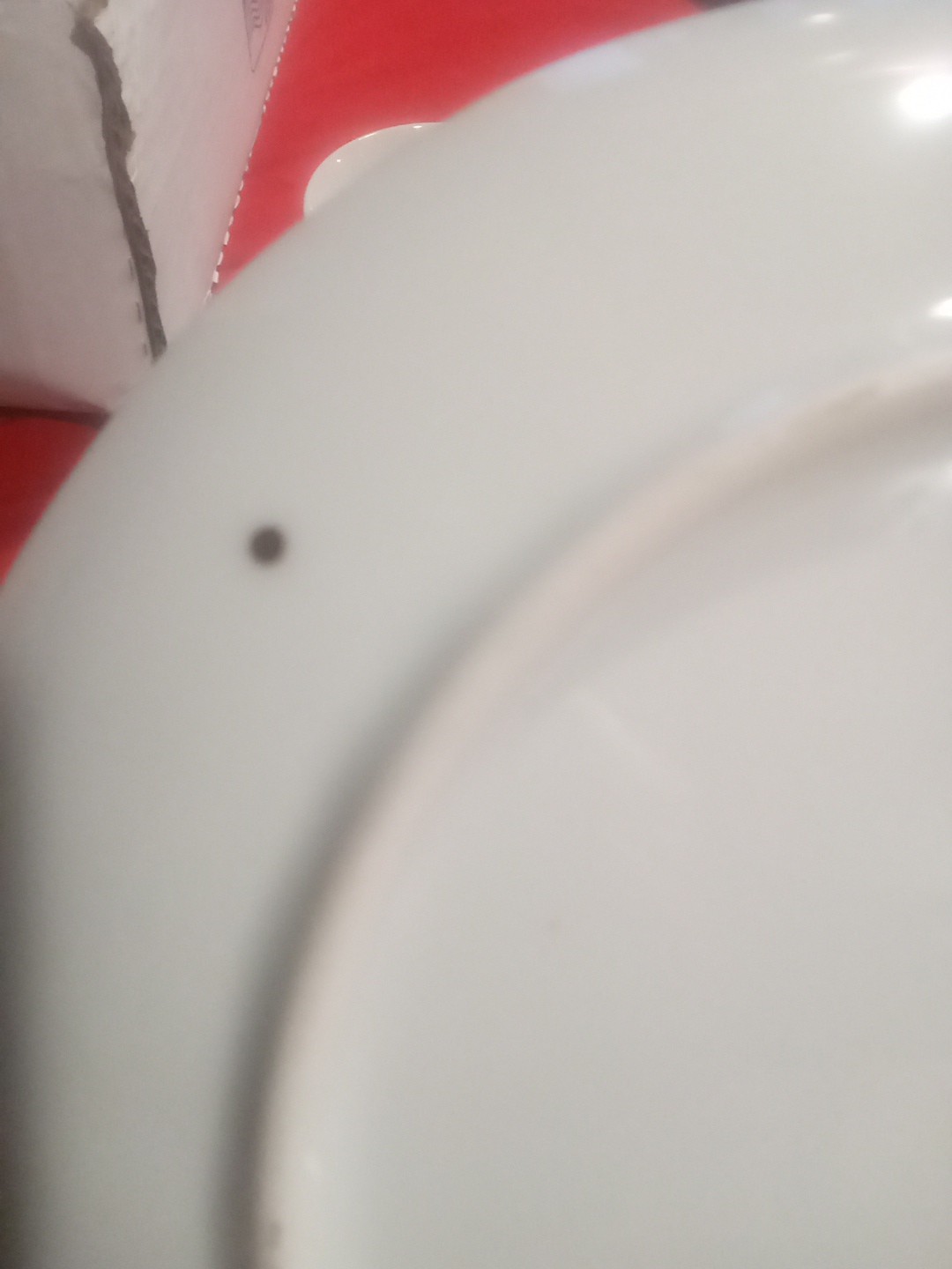 Picture 9 of 12