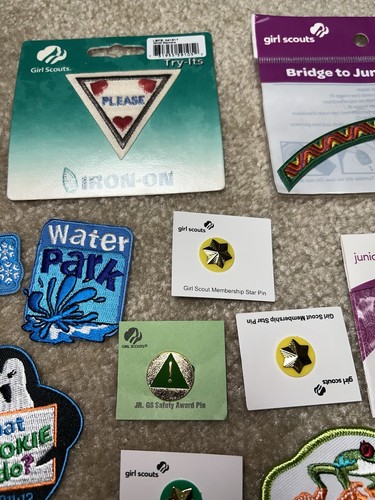 Lot Of 32 Girl Scout Patches & Pins - Picture 11 of 12