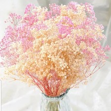 2000 Dried Pink White Babys Breath Flowers -17'' Baby's Breath Bulk Bouquet