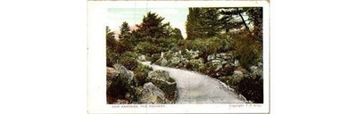 #ad #ad Kew Gardens Rockery Postcard F.F. amp; Co. c1910 Divided Back Printer Germany $13.49