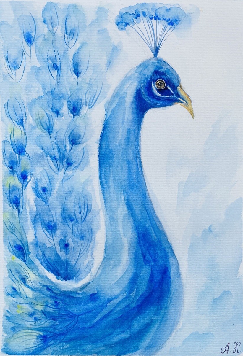 ★Original ART  ‘Peacock’ Peacock Painting Vibrant Watercolor Original Art Couple