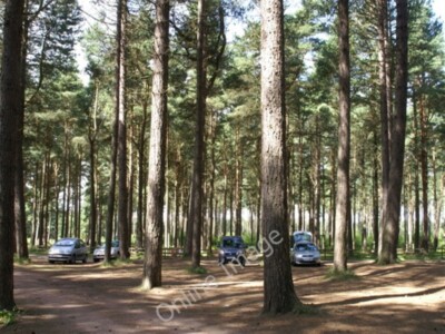 Photo 6x4 Tentsmuir Car Park Kinshaldy Set among the trees. c2009