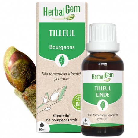 Herbalgem Tilleul Bio