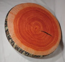 Hunting Seat Round Log Cushion or Throw Pillow