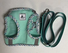 Dog Harness & Leash Set, No Pull for Easy Walking, Soft Breathable for Small Dog