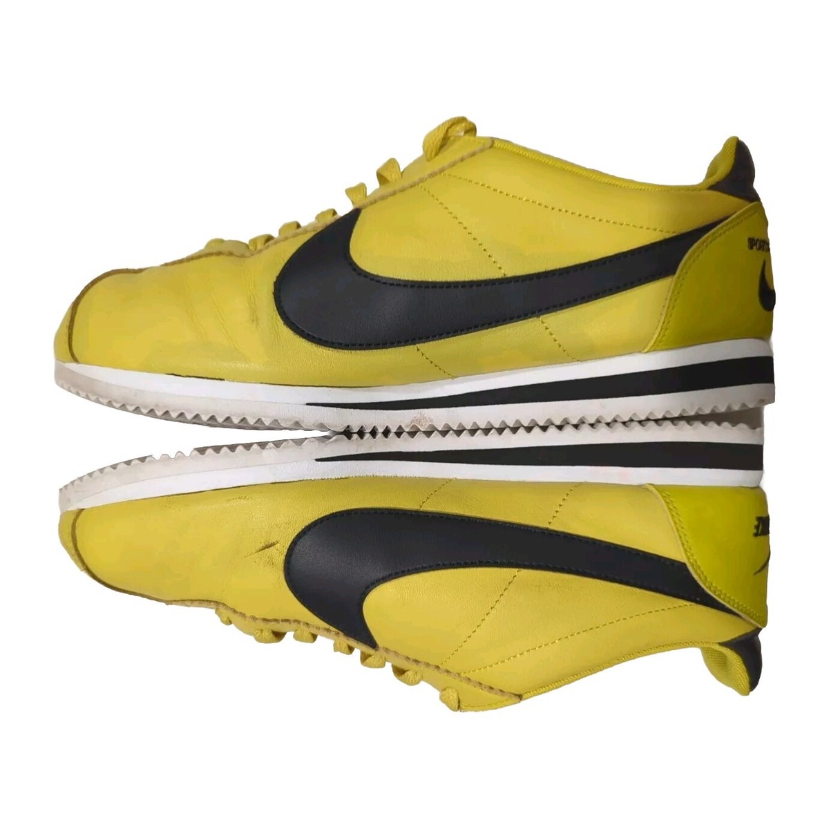 classic cortez blazing sun