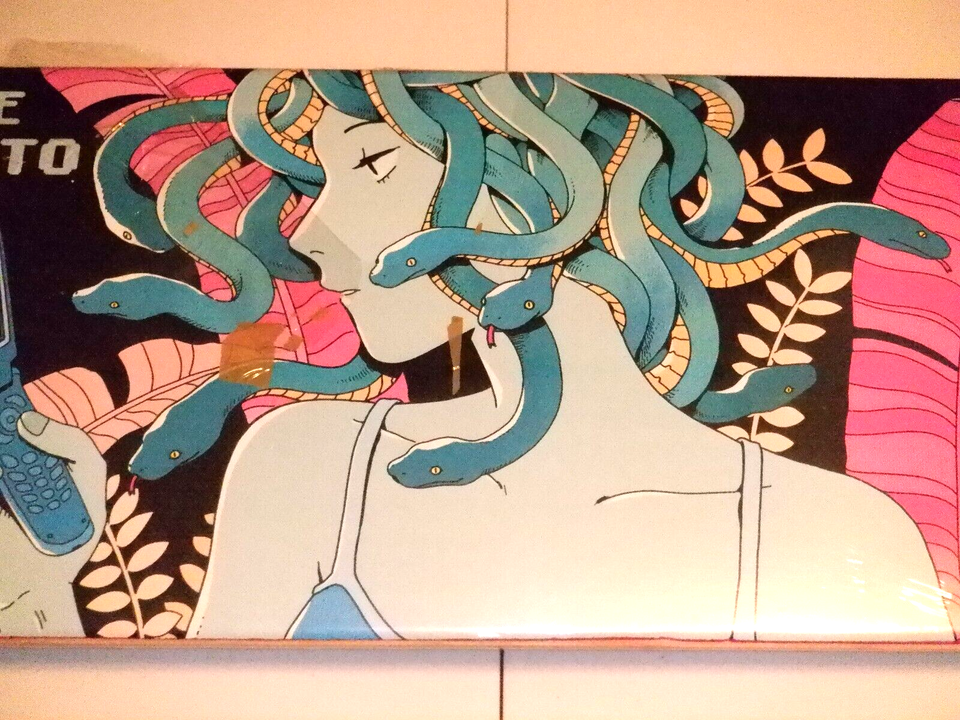 Birdhouse Lizzie Armanto skateboard deck. Brand new. Still in shrink