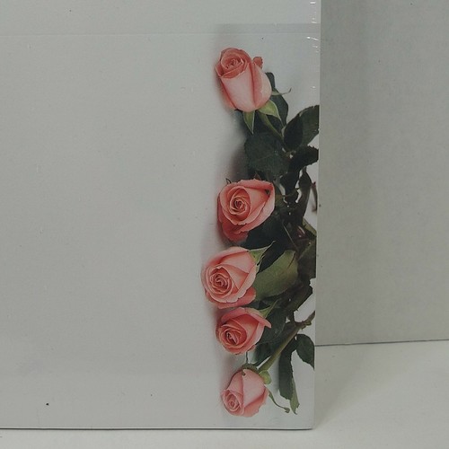 Bulletin Pink Rose Printer 60 lb Paper Sealed Package 50 Sheets USA Made - 第 2/4 張圖片