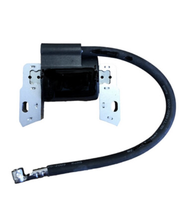 Zündspule für Briggs & Stratton Motor Modell  91708 91702 91707 91212 98902