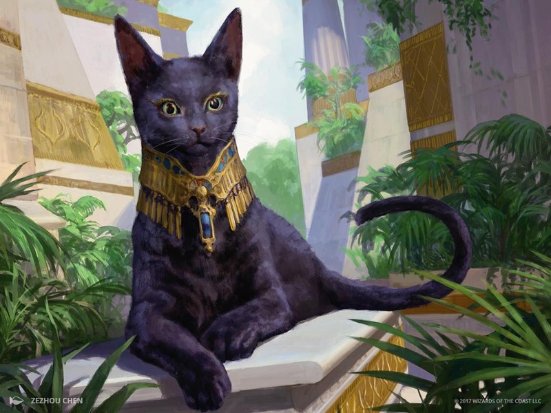50 Cat Cards Tribal lot collection 3 rares MTG Magic the gathering CNY