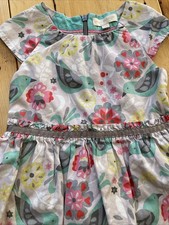 Mini Boden Dress 2-3 Flowers Birds Cap Sleeves Ruffled Waist Flared Zip Lined