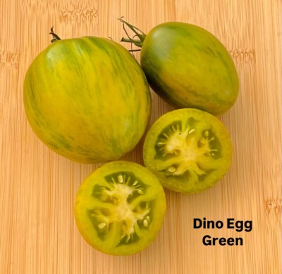10+ Samen Tomate DINO EGG GREEN grün gestreifte Sorte Tomatensamen Saat Saatgut