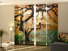 Foto-Schiebegardine Wald in Japan, Flächenvorhang mit Motiv, Fotodruck, auf Maß