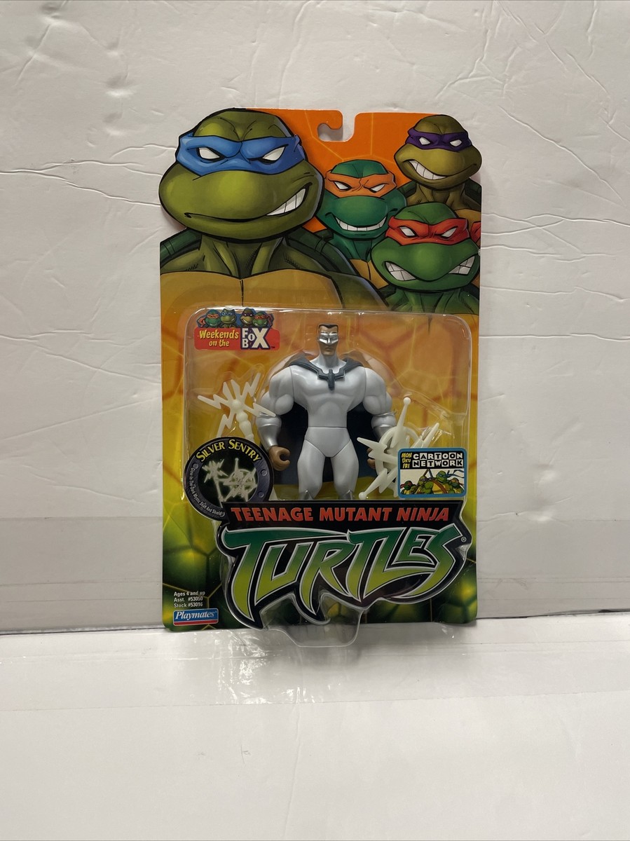 Teenage Mutant Ninja Turtles 5