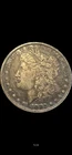 1882 Morgan Silver Dollar (Ungraded/Extremely Fine) NO RESERVE