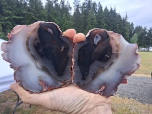 【コレクターズアイテム】クレーターアゲート Crater Agate | eBay