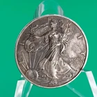 2006 American Silver Eagle 1 oz Fine Silver $1 Coin - Heavily Circulated / Cull