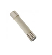 EXP20A Ceramic Line Fuse, Slow Blow, 20A
