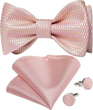 Men Bow Tie Paisley Striped Self-Bow Tie for Men and Silk Woven Bowtie Pocket Sq