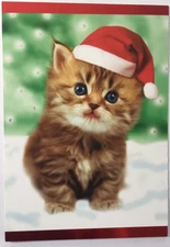 Papyrus- Christmas- Kitten Wearing Santa Hat- Foil Accents