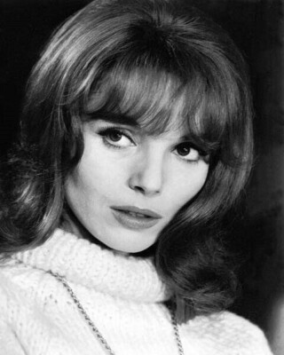 Elsa Martinelli beautiful 1960's portrait in white sweater 5x7 photo inch poster