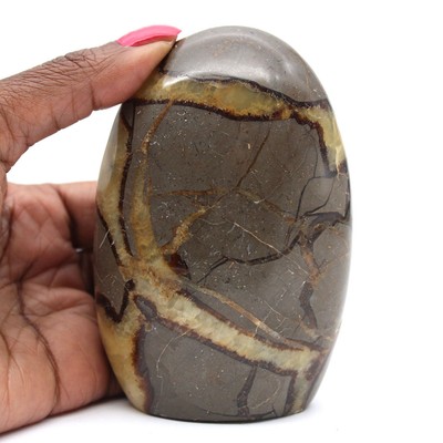 Septaria de collection de Madagascar 460gr 100mm Madagascar