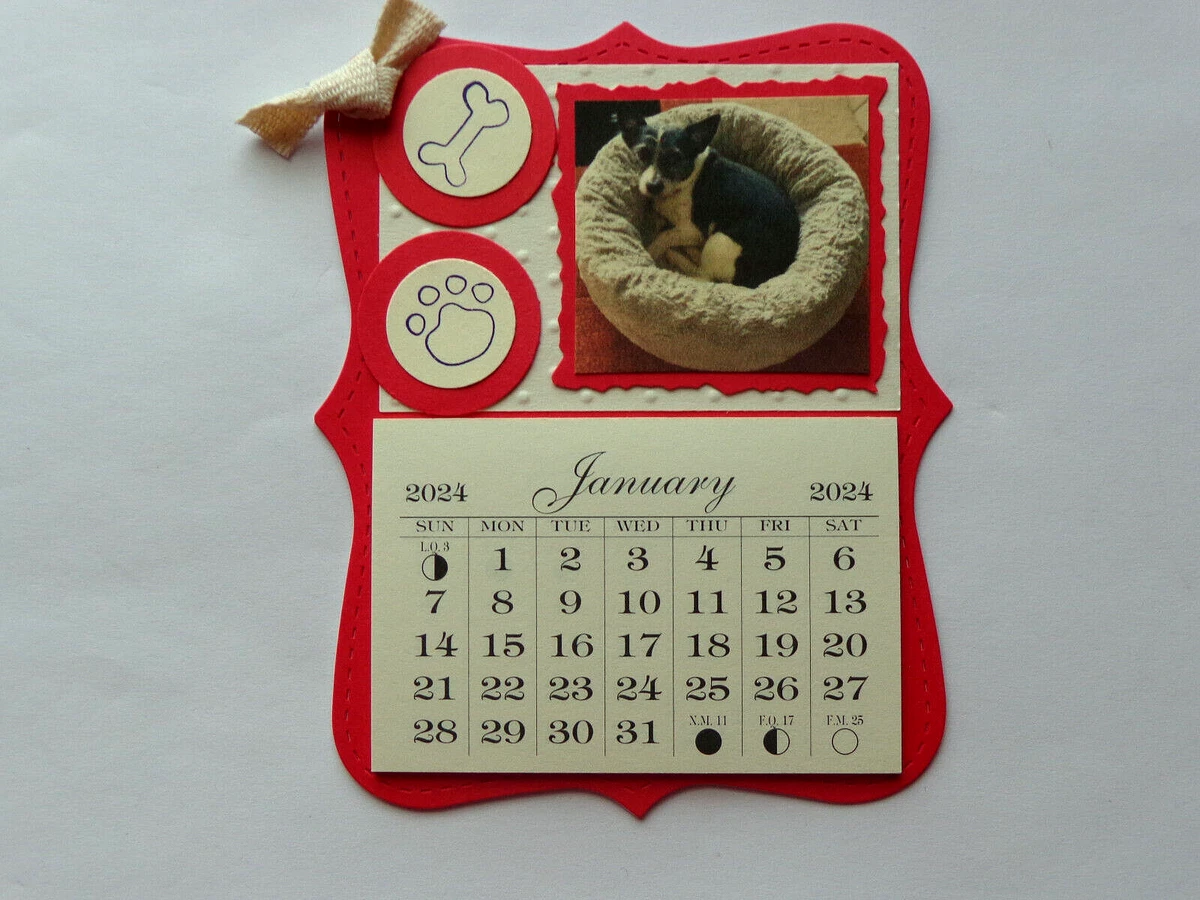 SPECIAL ORDER 2024 MINI MAGNETIC CALENDAR TEAR OFF PAGES | eBay special-order-2024-mini-magnetic-calendar-tear-off-pages-ebay