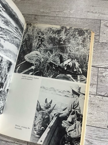 The War On Land The British Army in World War II - Imagen 5 de 7