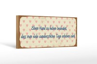 Holzschild Spruch 27X10 Cm Hund Haben Bedeutet Schild