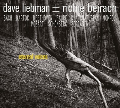 DAVE LIEBMAN & RICHIE BEIRACH Eternal Voices Music CDs New