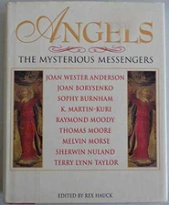 Angels: The Mysterious Messengers - Hardcover, by Hauck Rex - Very Good