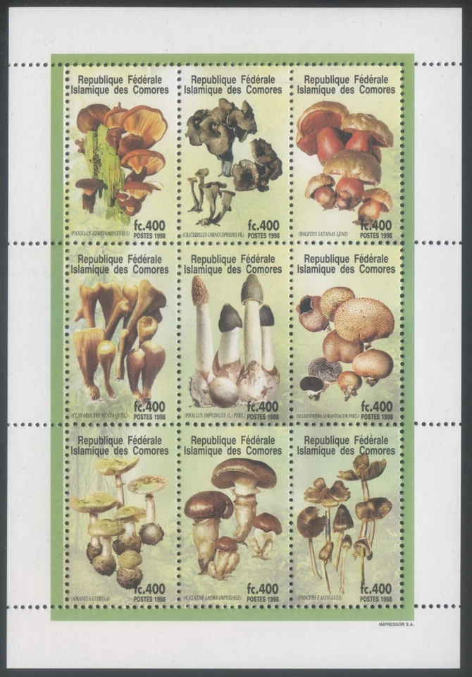 Comores 1998 MNH** Mushrooms*Fungy*Horn of Plenty*Satan's Bolete*Stinkhorn MS 9v - Photo 1/1