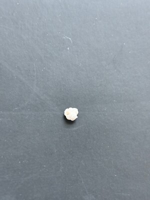 0.58 5B Pearl Recovered From The 1622 Santa Margarita Shipwreck COA Kim Fisher