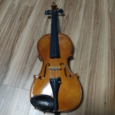 Violin 4/4 Ben rot 1999 Made in Germany?
