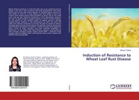 Marian Thabet | Induction Of Resistance To Wheat Leaf Rust Disease | Taschenbuch