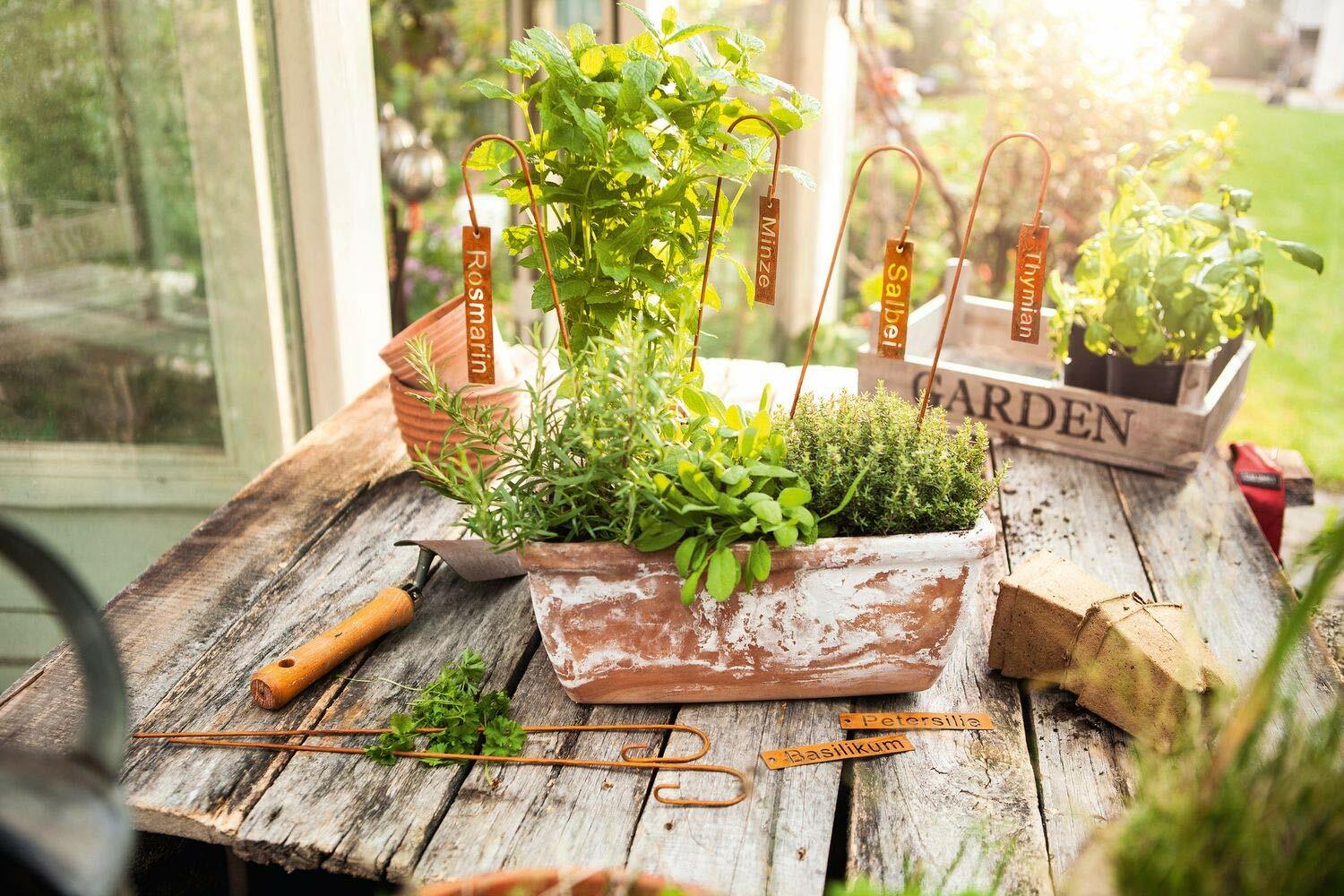 amelex 67 Serie 6 spiedini per Piante Cartelli per nominare Le Erbe, (I8q)