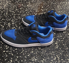 Nike SB Alleyoop Men's Skateboarding Shoes Blue/Black, US Size 10 Medium (D)