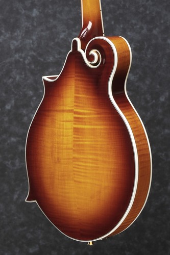 Ibanez M700S-AVS Mandoline F-Style – 8-Saiter – Antique Violin Sunburst Gloss - Picture 4 of 7