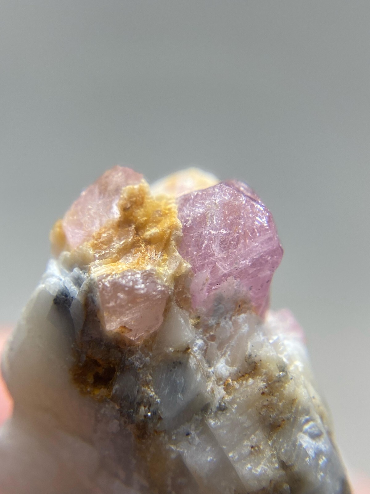 Foto 7 di 11