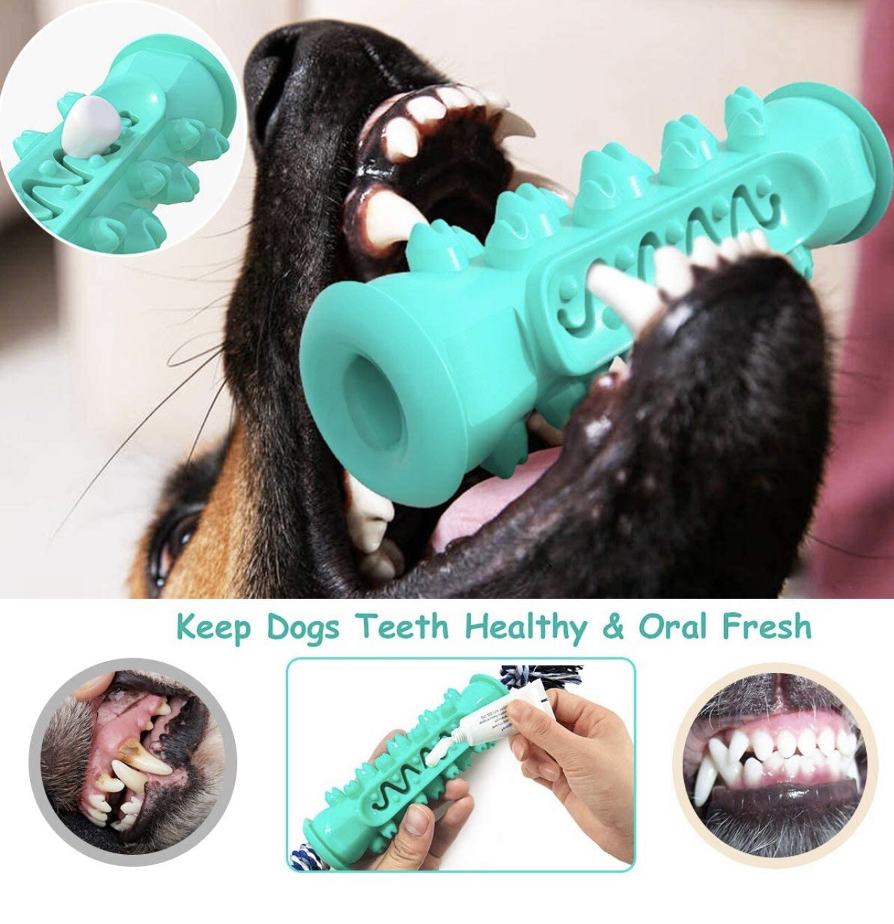 NEW Edible Toothbrush Dog Toy; Serrated Molar Stick/ Fill w/Treats Or
