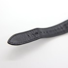 Foto 15 di 16