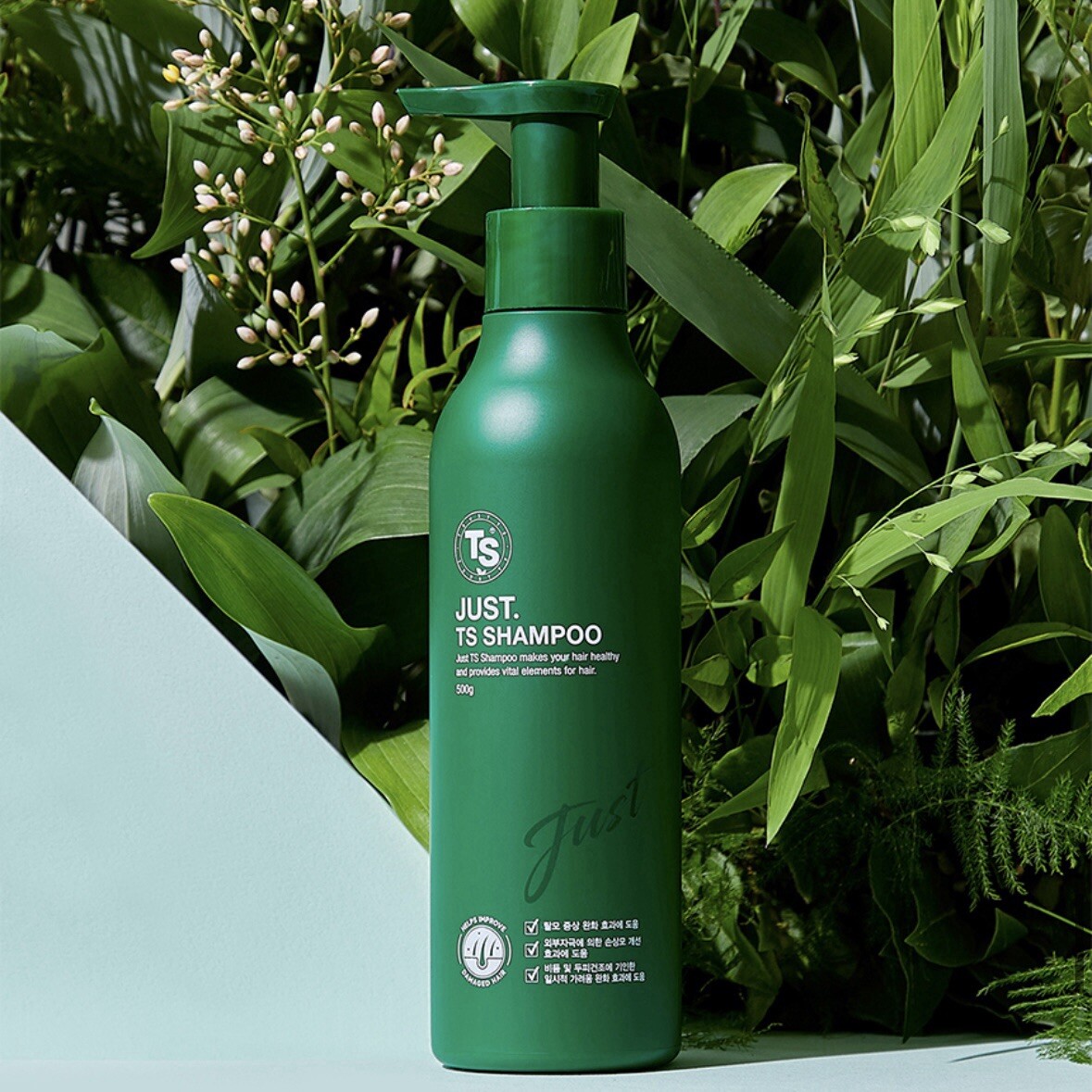 TS Just Ts Shampoo 500ml Anti Hair Loss Andruff For Dry Scalp Hair