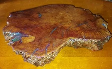 Ribbonwood Burl Bonsai Plant Stand  Mini Table 9x12x2" Like Manzanita 