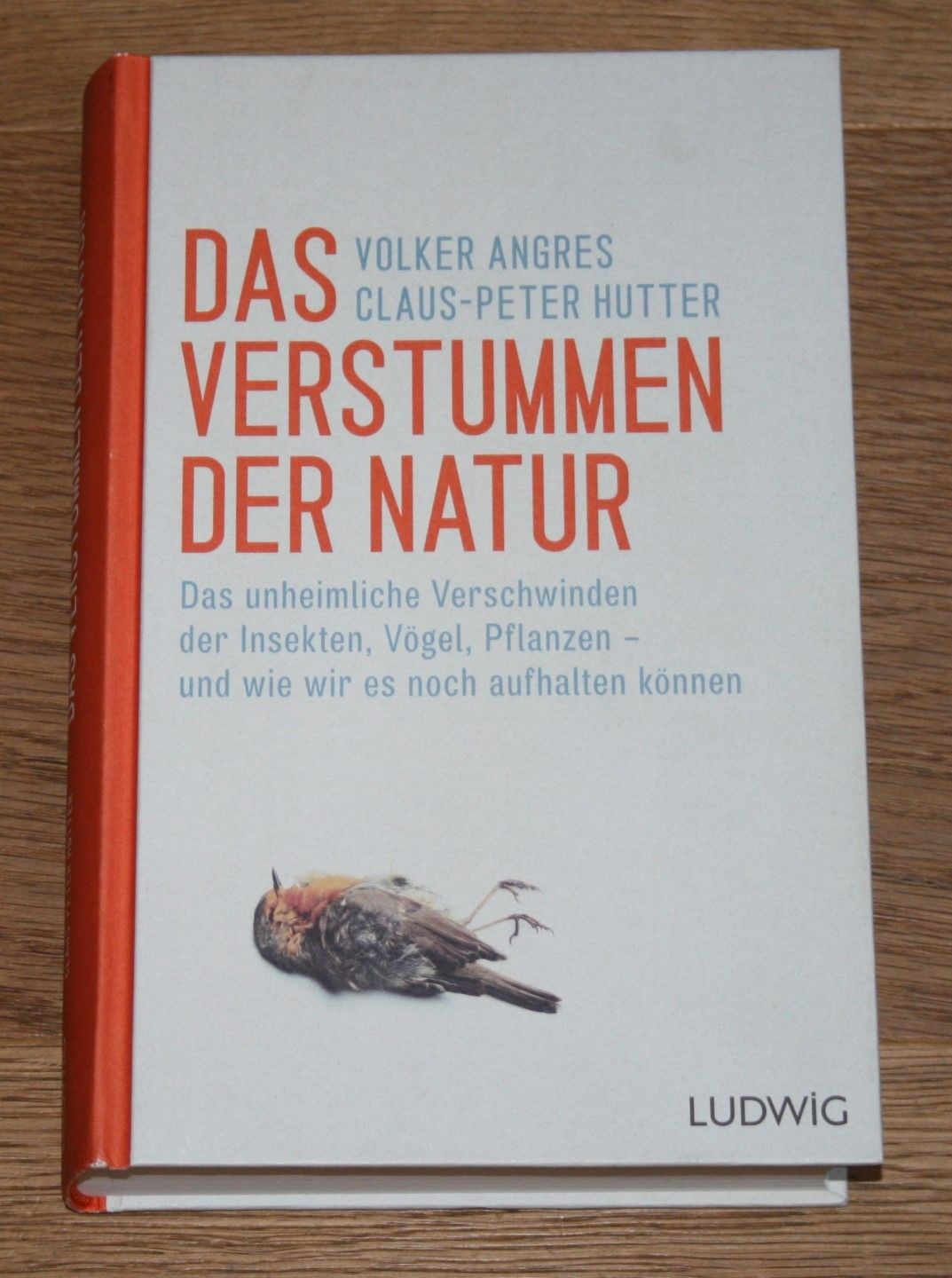 Bild 1 von 1